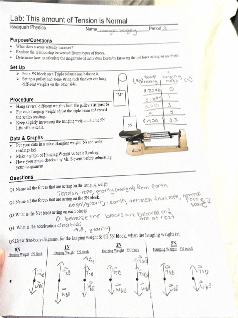 Lab This Amount of Tension Is Normal | PDF