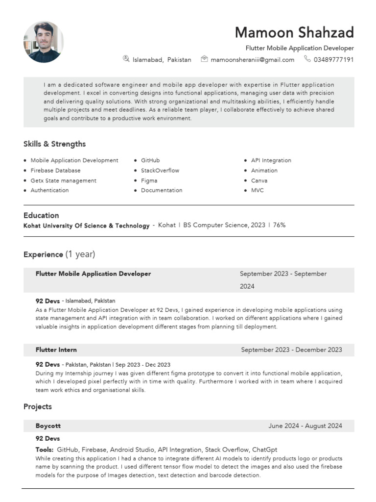 Flutter Mobile App Developer Profile | PDF | Software Development ...