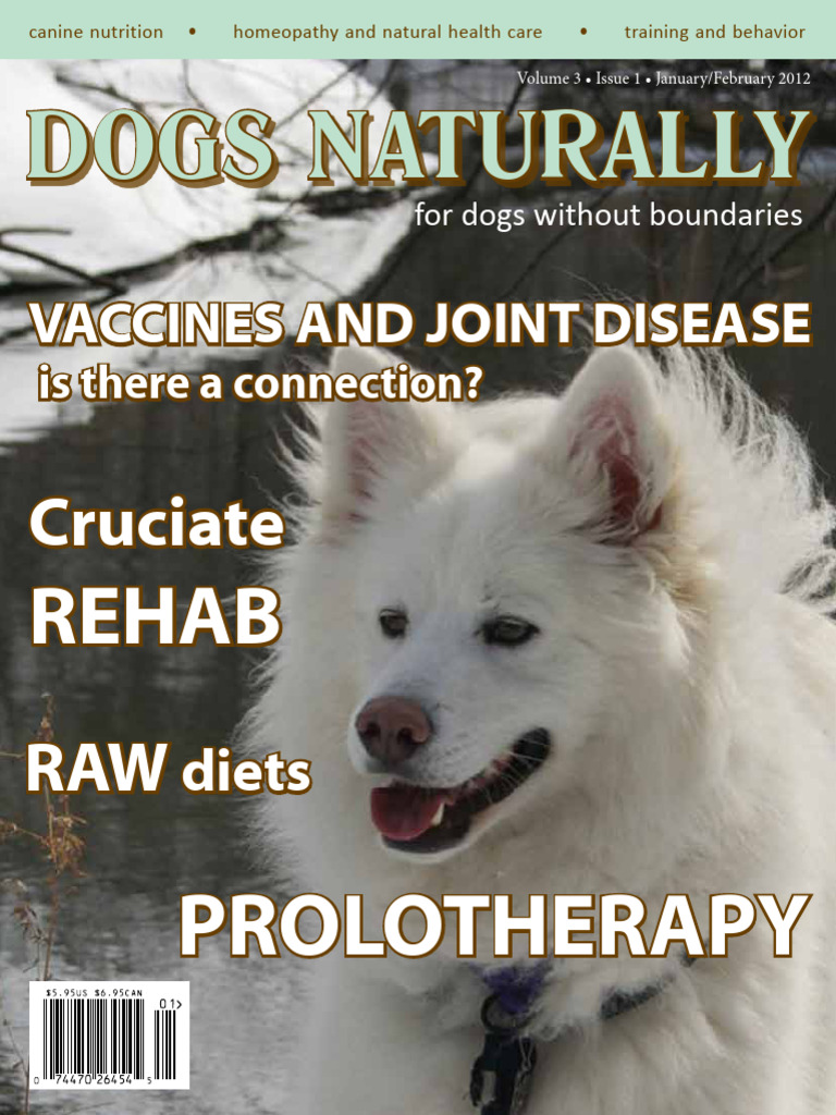 January - February 2012 - Dogs Naturally Magazine | PDF | Omega 3 Fatty ...