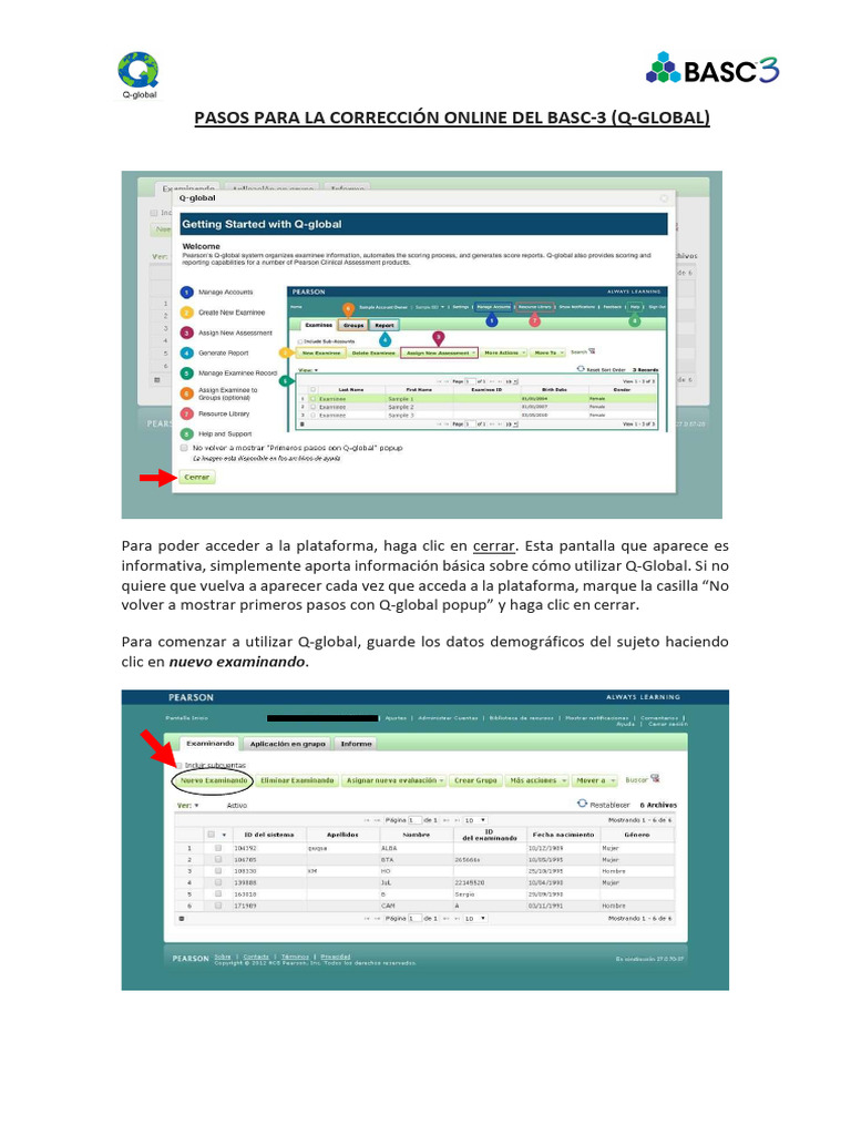 Manual Q Global BASC 3 | PDF | Software | Informática