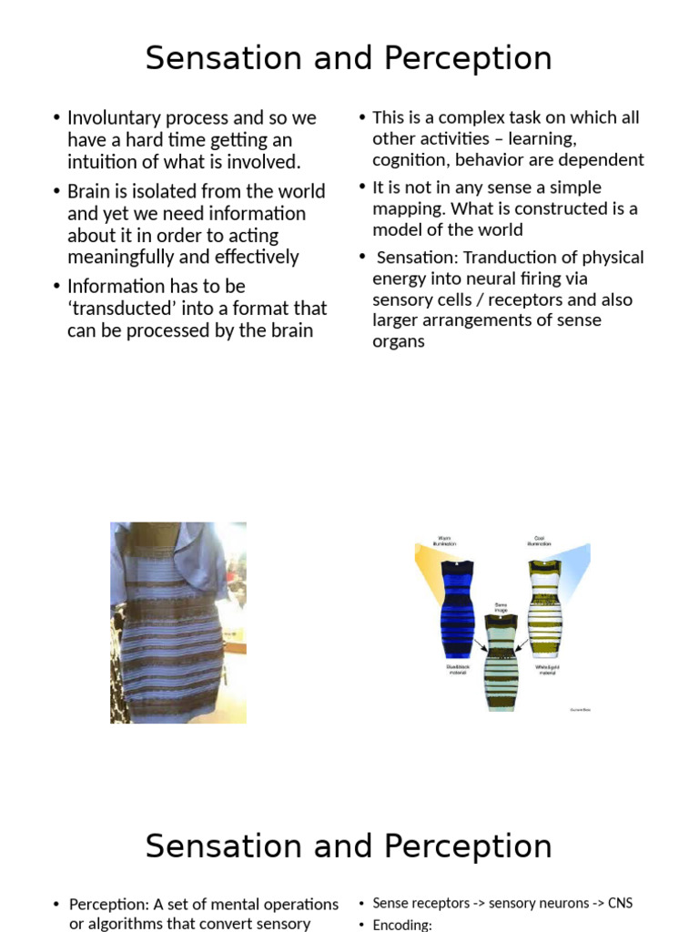Understanding Sensation and Perception | PDF | Senses | Perception