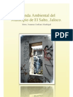 Agenda Ambiental Del Municipio de El Salto