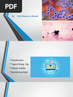 Strep Alpha, Beta, Entero Flow Chart | PDF