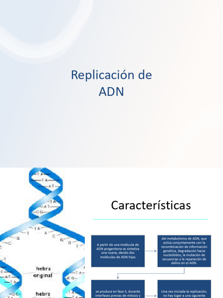 2 Replicación 2020-02 | PDF | Replicación De Adn | Adn