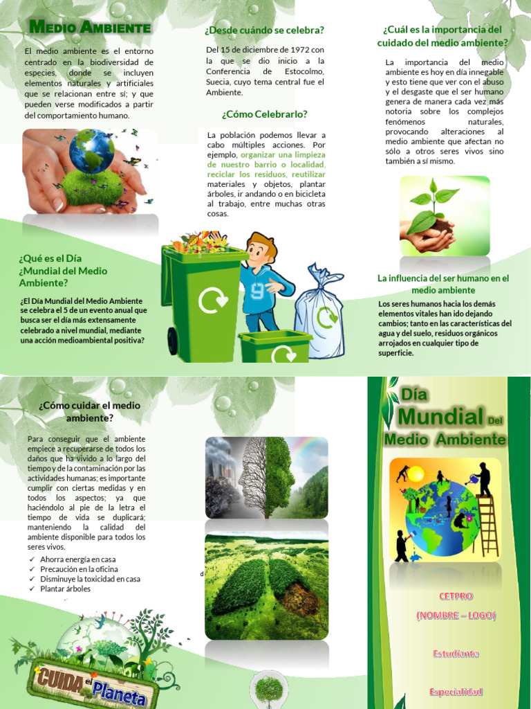 Importancia del Cuidado del Medio Ambiente | PDF | Entorno natural ...
