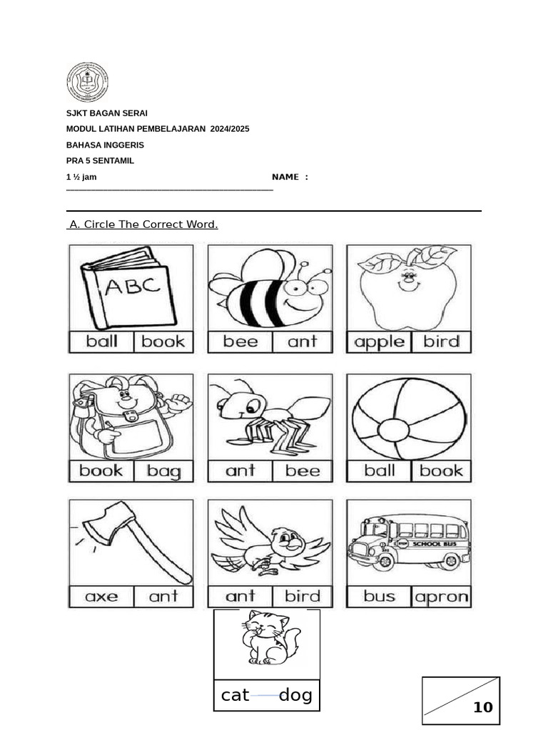 Bi Exam | PDF