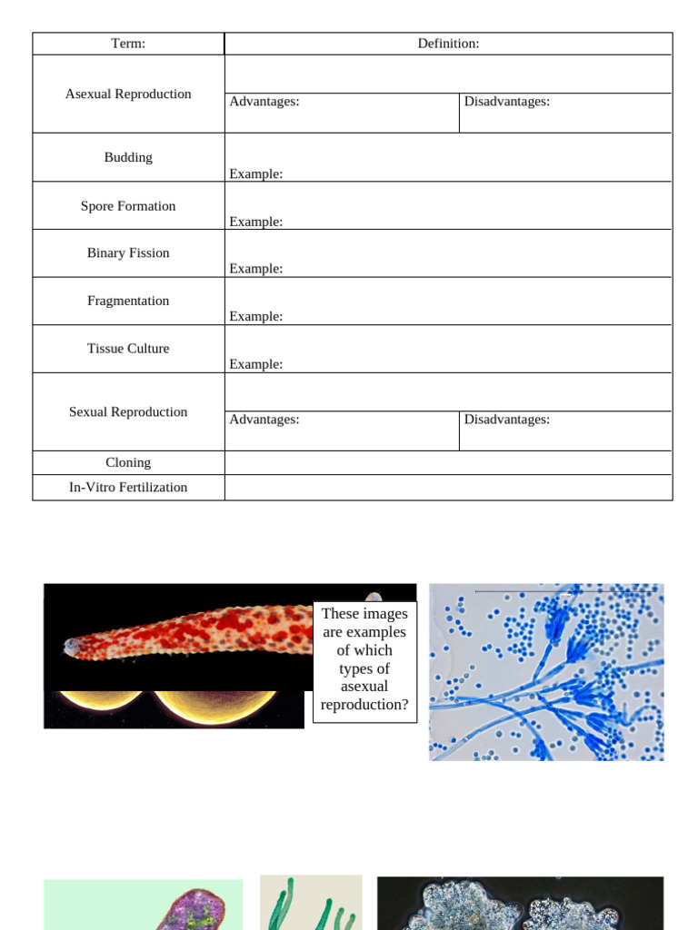 Lab+9+ +Reproduction+Study+Guide+ (BIOL+105) | PDF