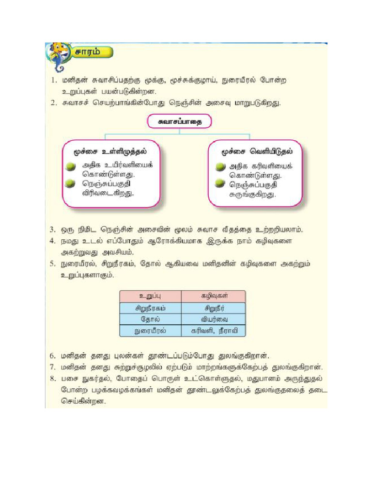 STANDARD 4 SCIENCE - CHAPTER 2 Human Part 2 Exercise in Tamil | PDF