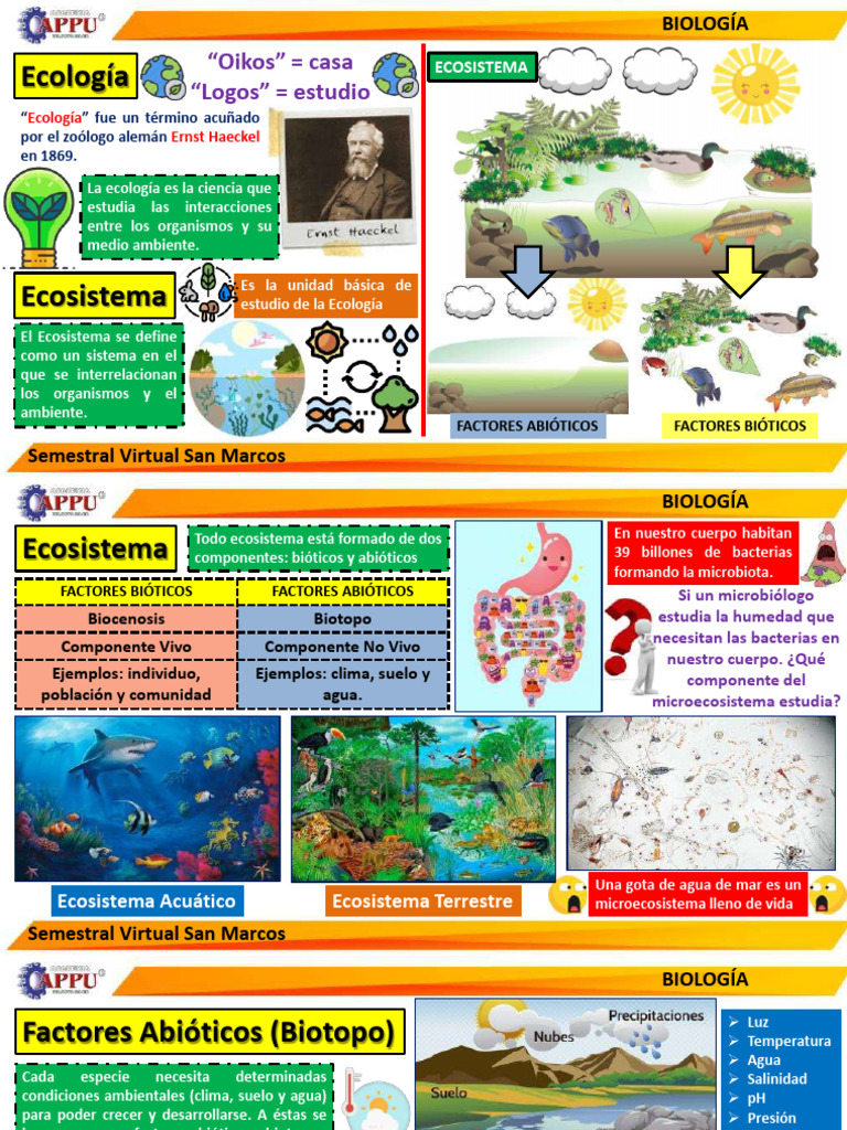 Introducción a la Ecología y Ecosistemas | PDF | Ecología | Ecosistema