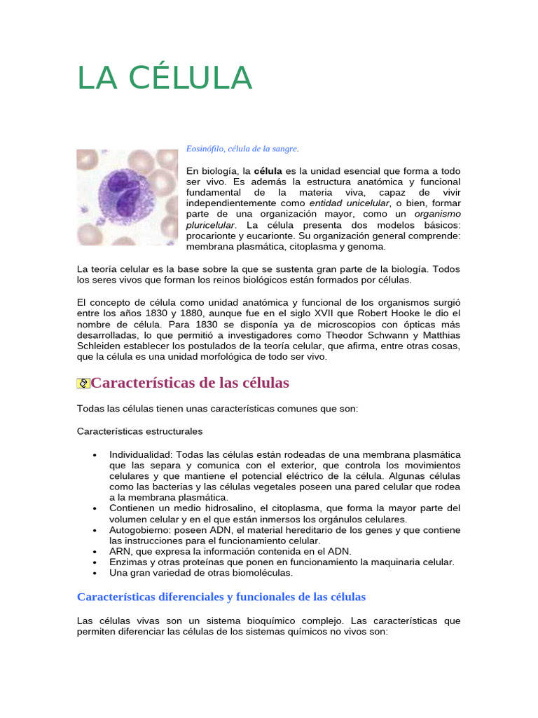 Estructura y Función de las Células | PDF | Biología Celular) | Citoplasma