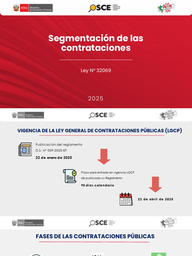 Segmentación de Contrataciones Ley 32069 | PDF | Computación en la nube ...