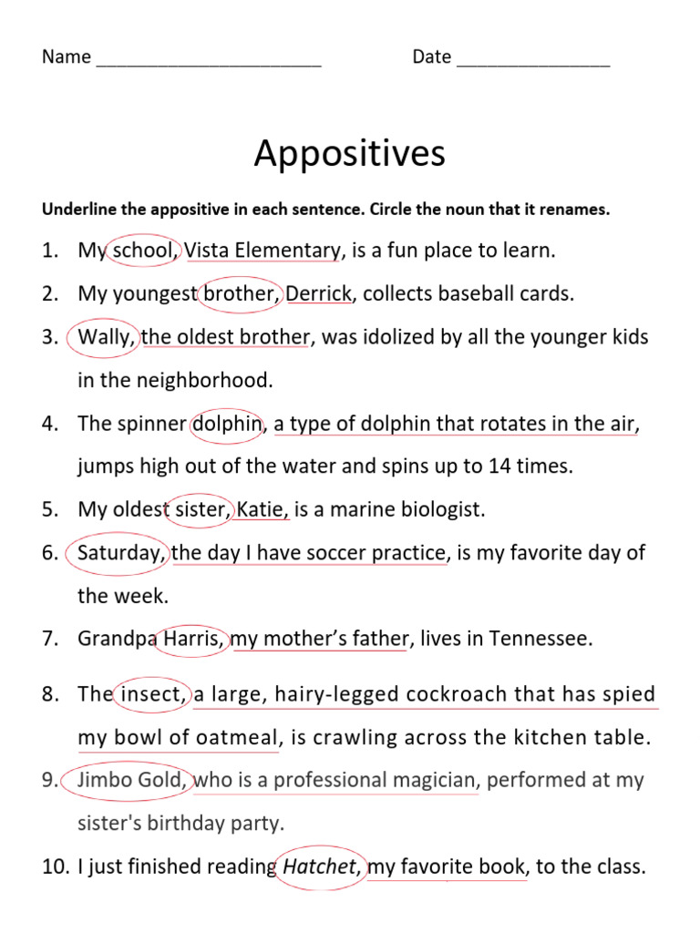 Appositive Practice Worksheet | PDF
