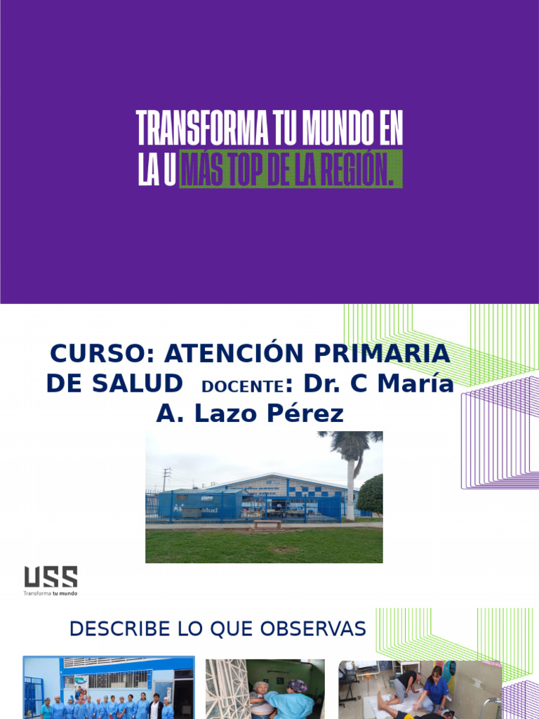 Principios Fundamentales de la APS | PDF | Cuidado de la salud ...