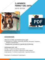 Parasitosis Del Aparato Digestivo Del Perro y Del[1]