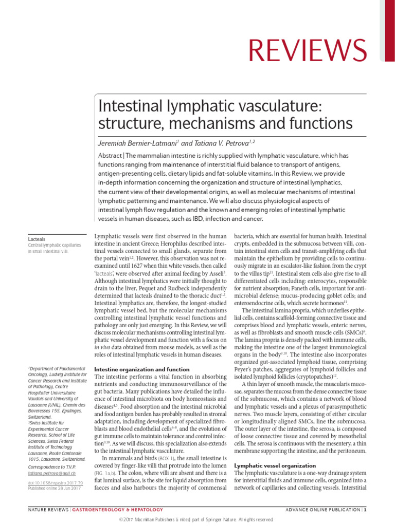 Intestinal Lymphatic Vessels: Structure & Function | PDF | Lymphatic ...