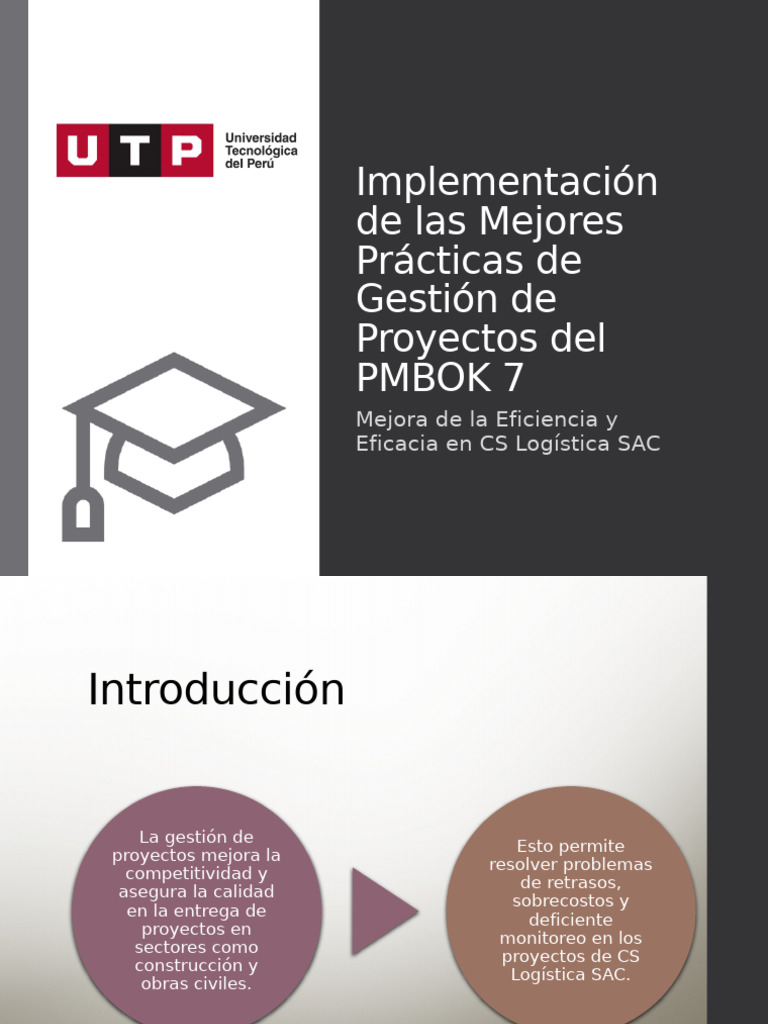 Mejora de Proyectos con PMBOK 7 en CS Logística | PDF | Logística ...