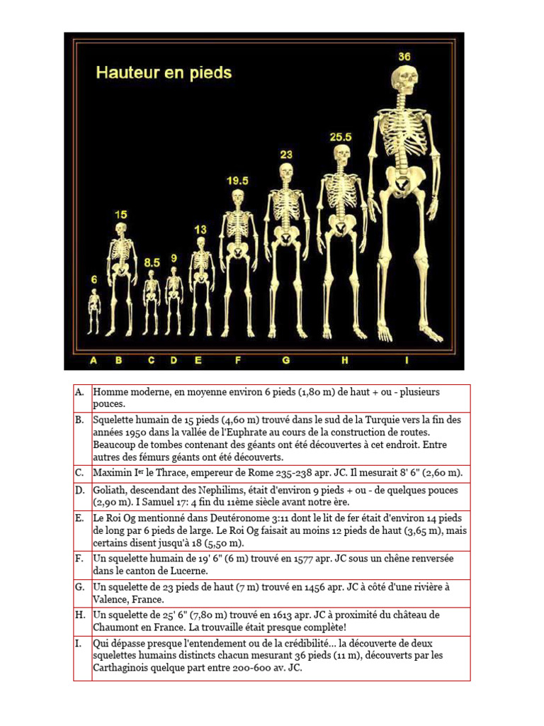Découvertes de squelettes géants humains | PDF