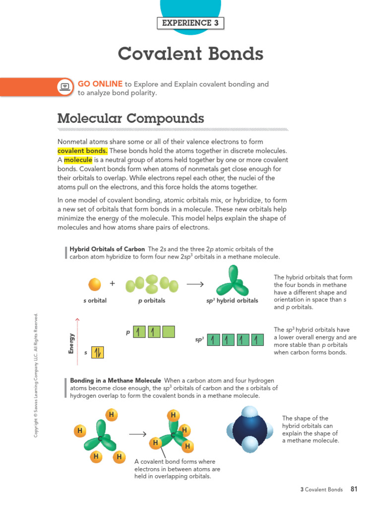Annotated Experience Notebook_ Covalent Bonds | PDF