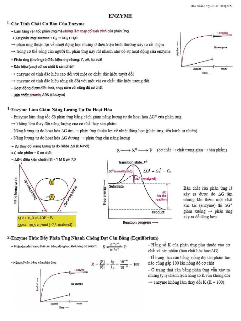ENZYME | PDF