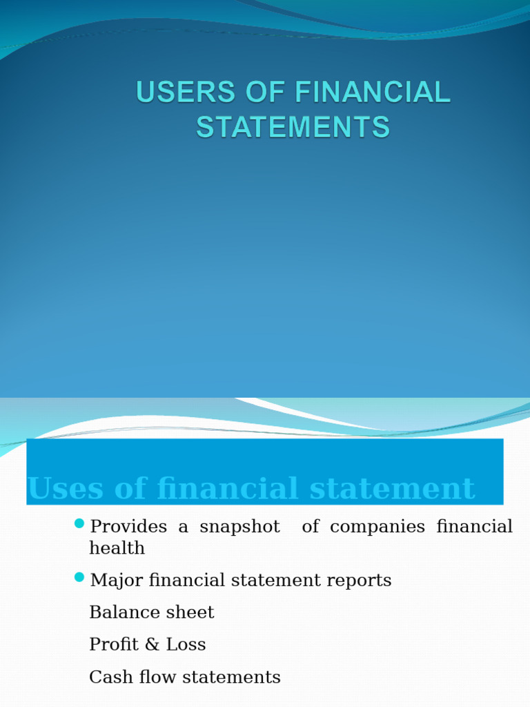 Users of Financial Statements | PDF