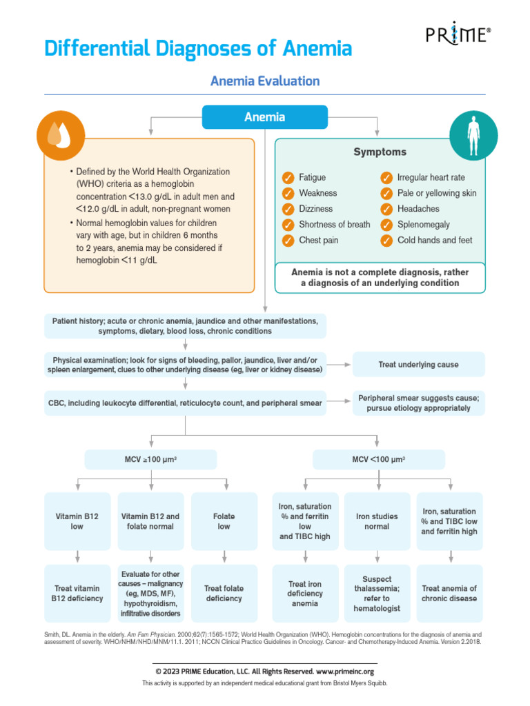 Anemia Differential Diagnosis Guide | PDF | Anemia | Hematology