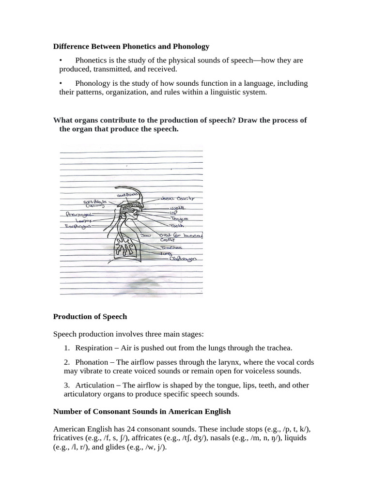 Difference Between Phonetics and Phonology | PDF