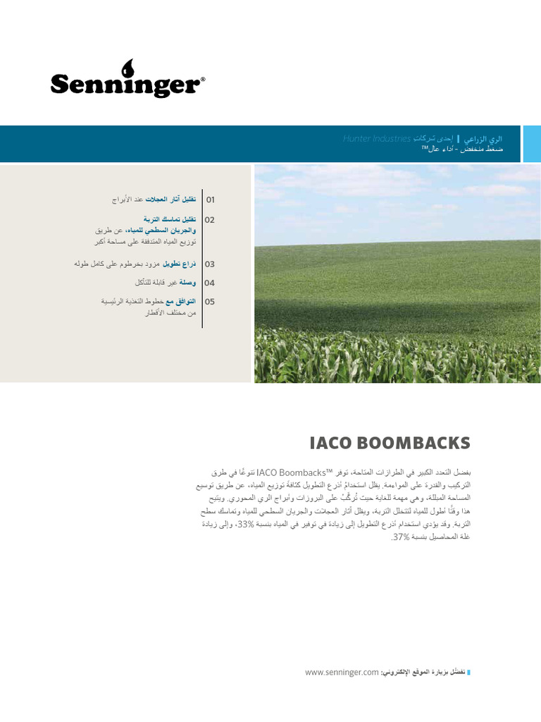 IACO Boombacks Sheet (Arabic) A4 | PDF