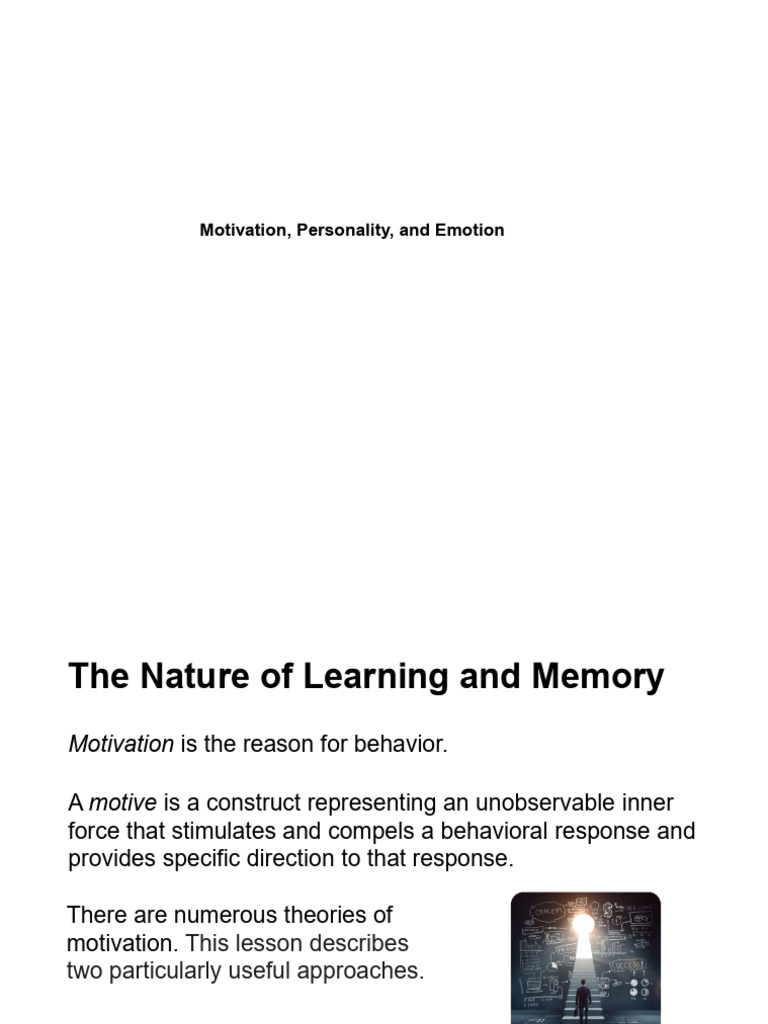 Understanding Emotion in Consumer Behavior | PDF | Motivational ...