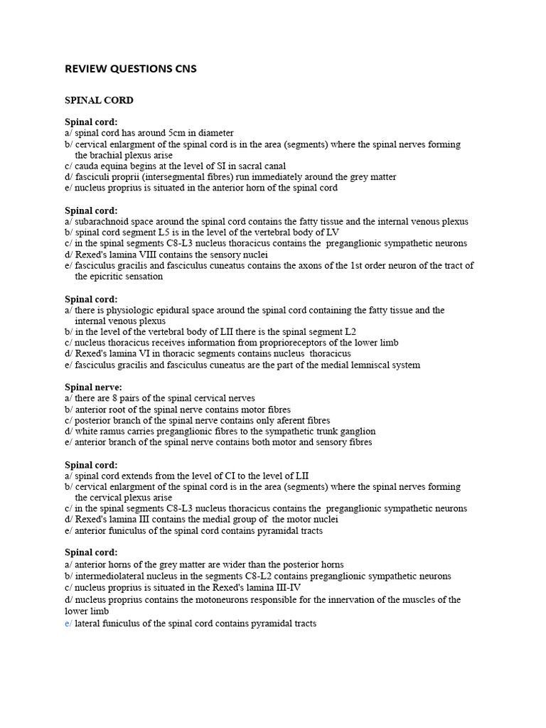Spinal Cord and Brainstem Review Questions | PDF | Spinal Cord | Brainstem