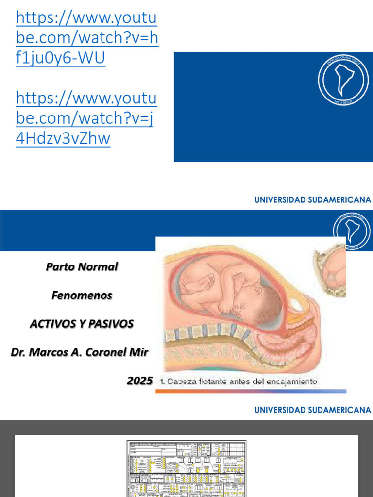 Fenómenos del Trabajo de Parto y Feto | PDF | Parto | El embarazo