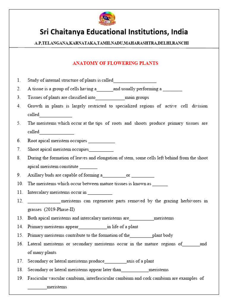 WHAT IS BOTANY visual data 2
