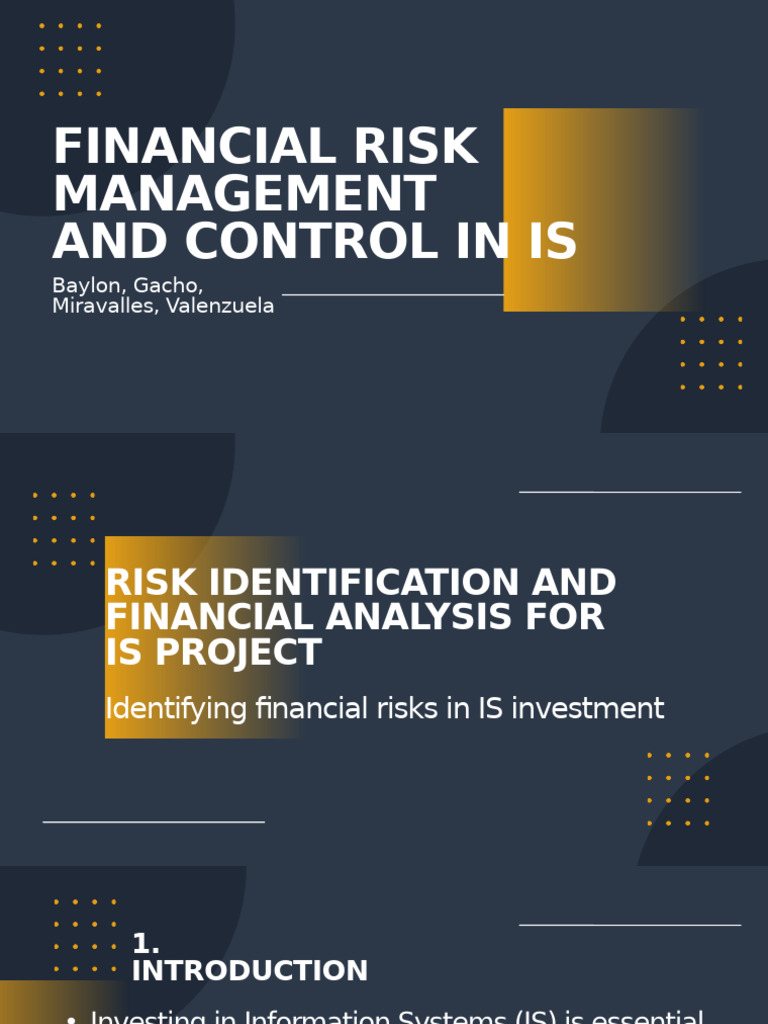 Financial Risk Management and Control in Is | PDF | Audit | Risk