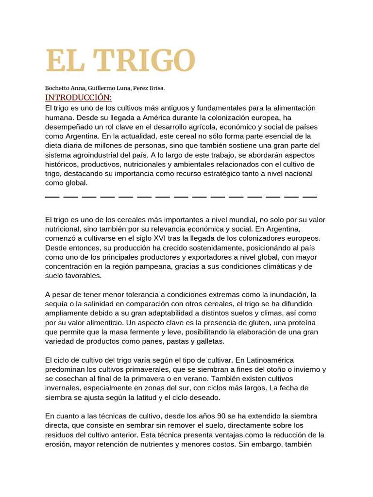 Importancia del Trigo en Argentina | PDF | Trigo | Agricultura
