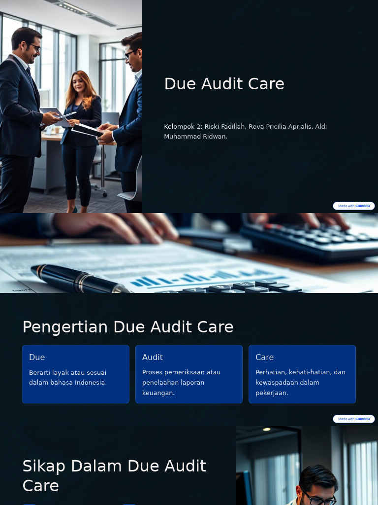 Due Audit Care | PDF