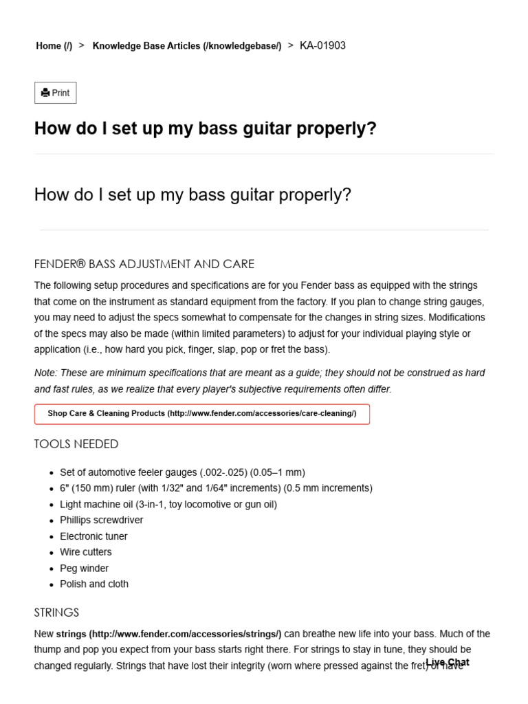 Fender Bass Guitar Setup Guide | PDF | Guitars | Double Bass