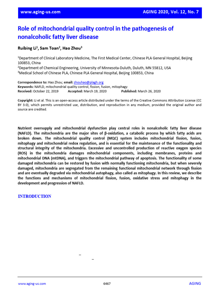 Mitochondrial Quality Control in NAFLD | PDF | Mitochondrion | Reactive ...
