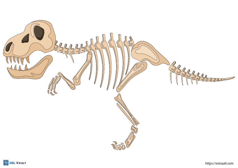 Printable Dinosaur Skeleton T Rex | PDF