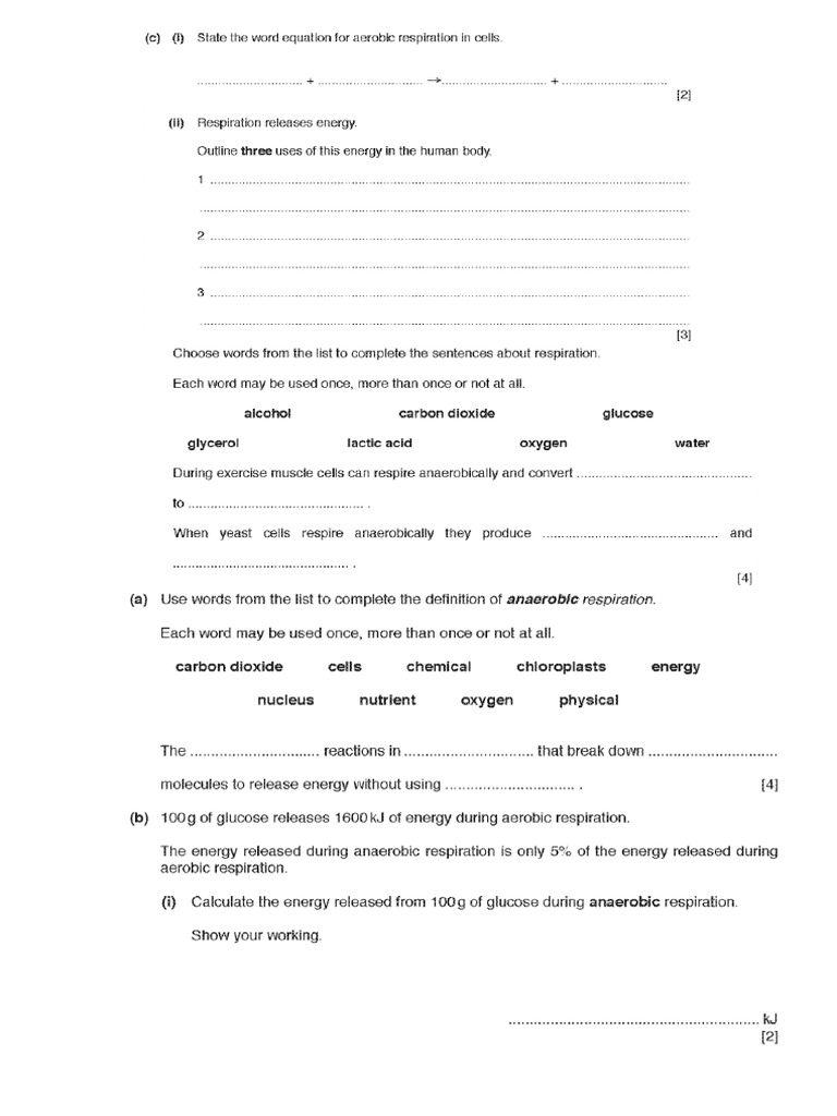 Respiration Questions IGCSE | PDF