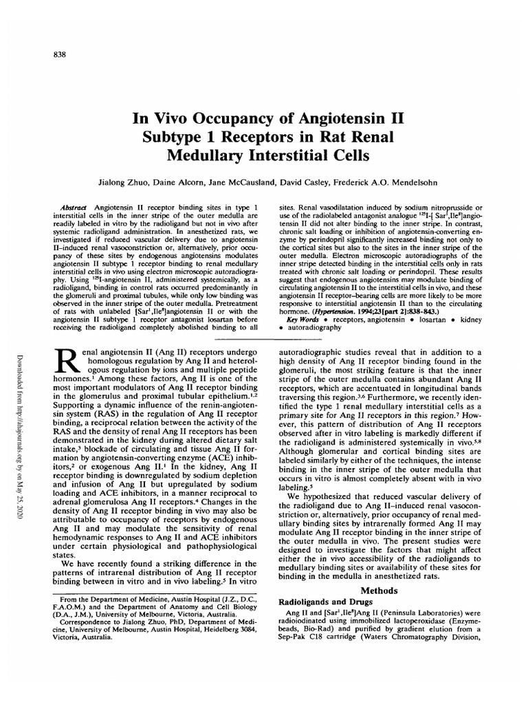 In Vivo Occupancy of Angiotensin II Subt | PDF | Angiotensin | Kidney