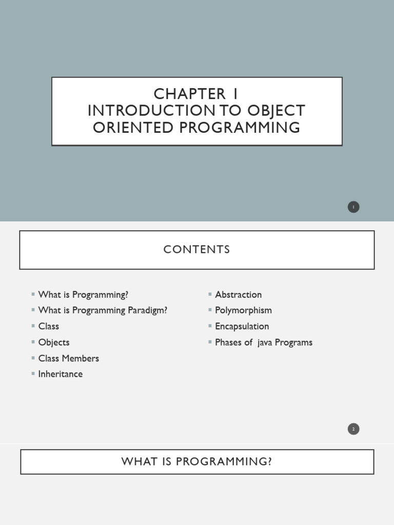 Introduction to Object-Oriented Programming | PDF | Class (Computer ...