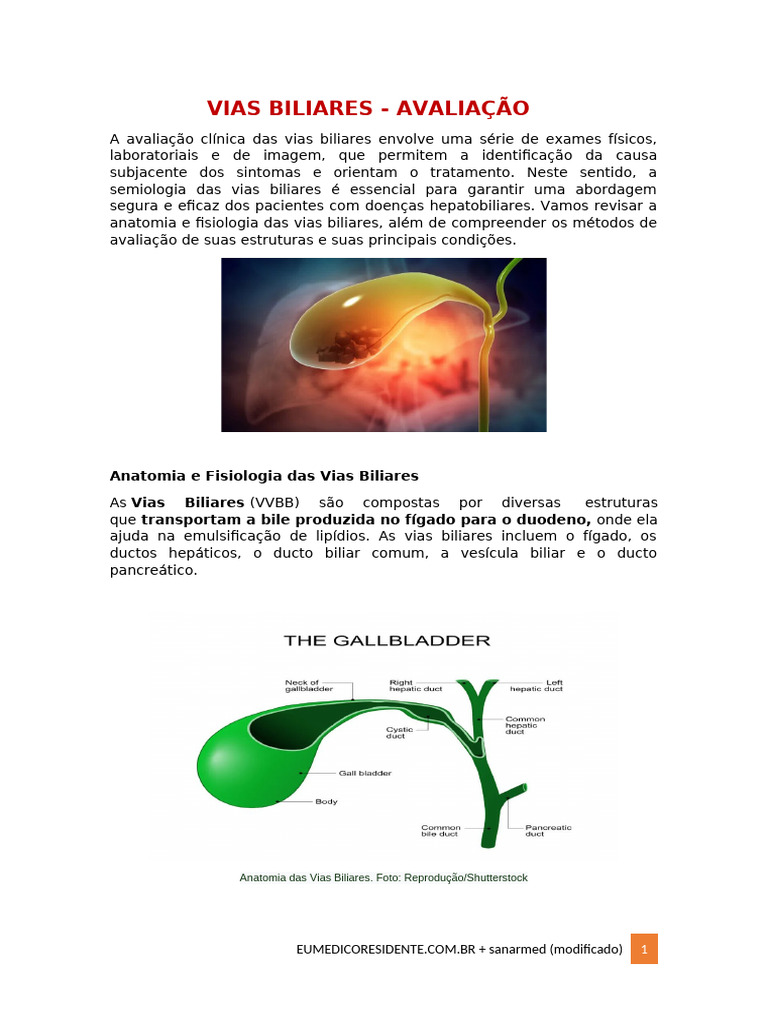 Avaliação das Vias Biliares e Cálculos | PDF | Bile | Doenças e distúrbios