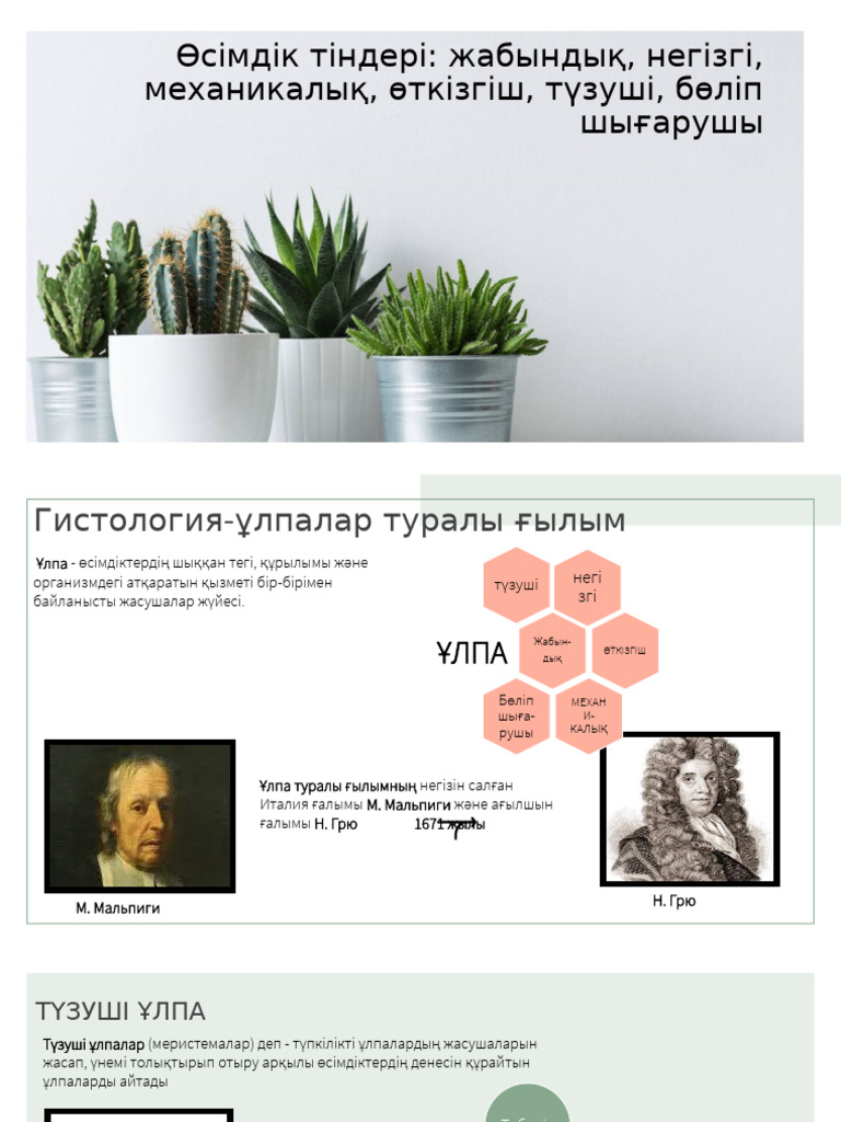 Күйеуінің артындағы порно