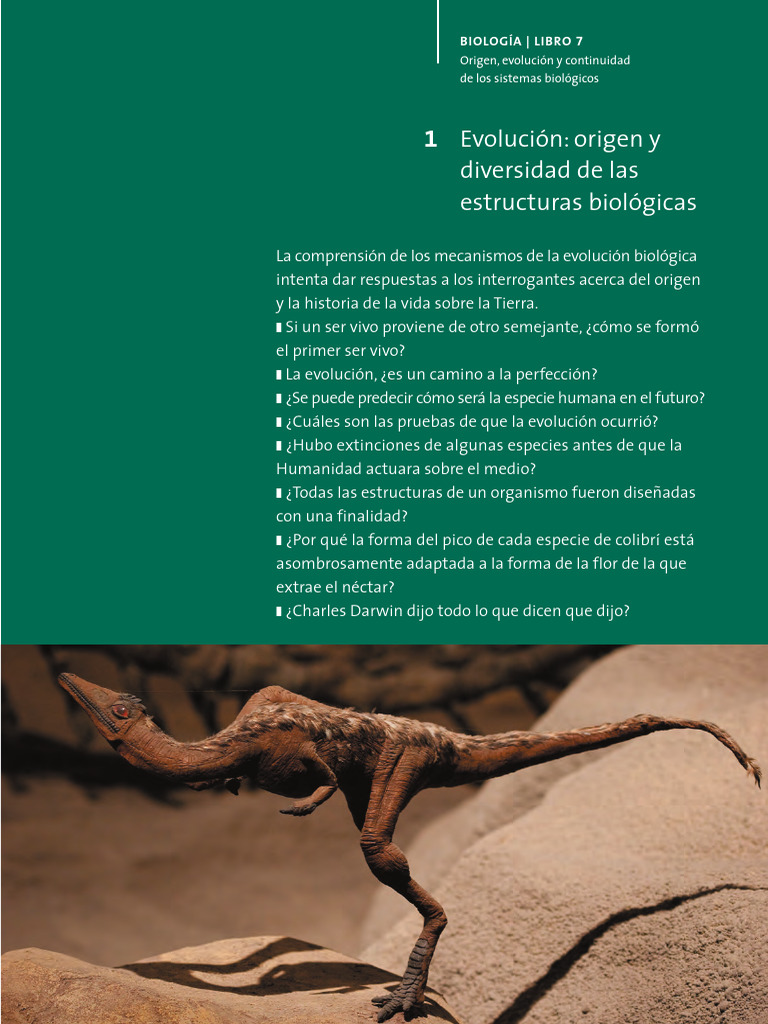 Bio 5 TP 1 | PDF | Fósil | Evolución