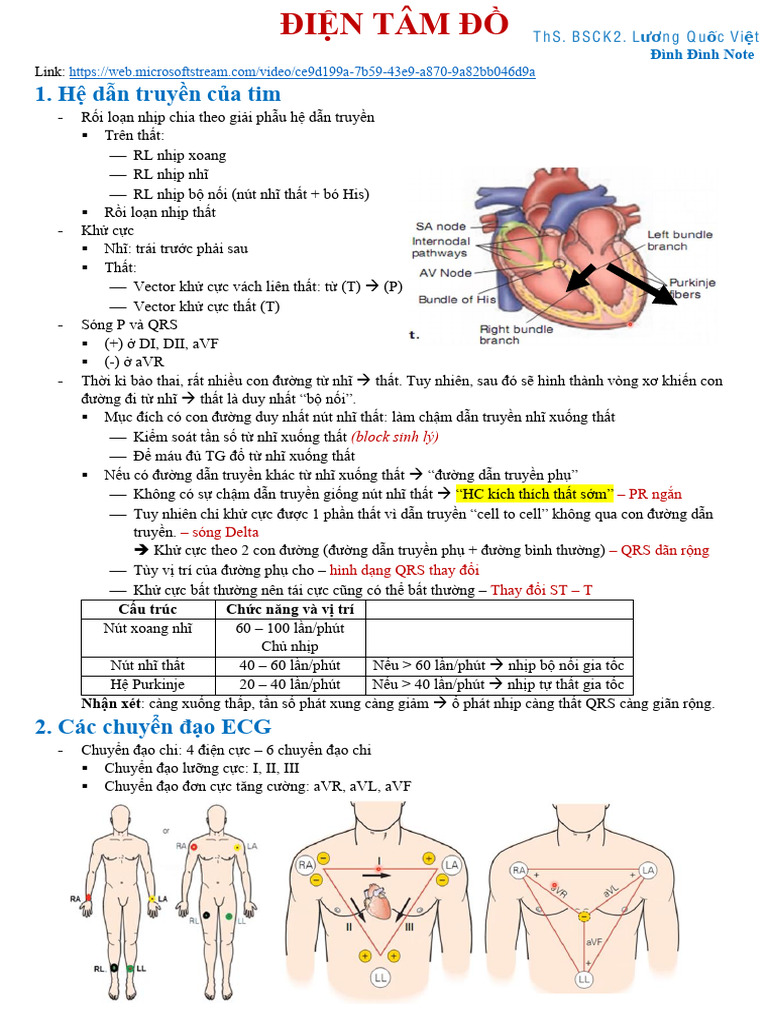 (Đình Đình) (Thầy Việt) (Thứ Tự Phân Tích Ecg) | PDF