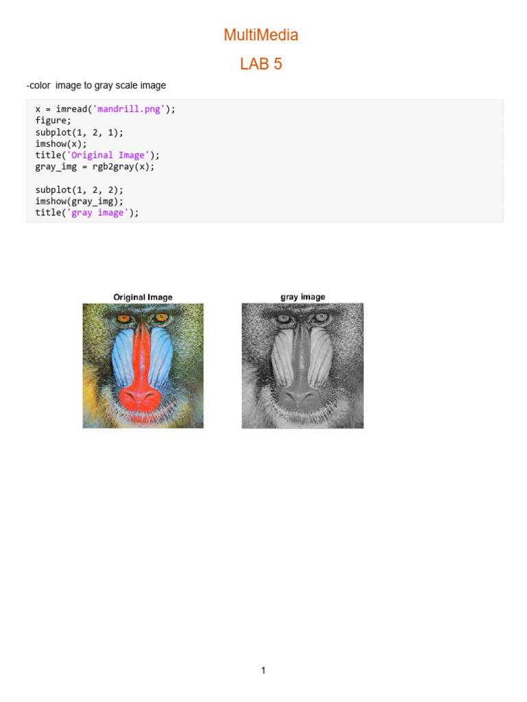 Image Processing: Grayscale and Histograms | PDF