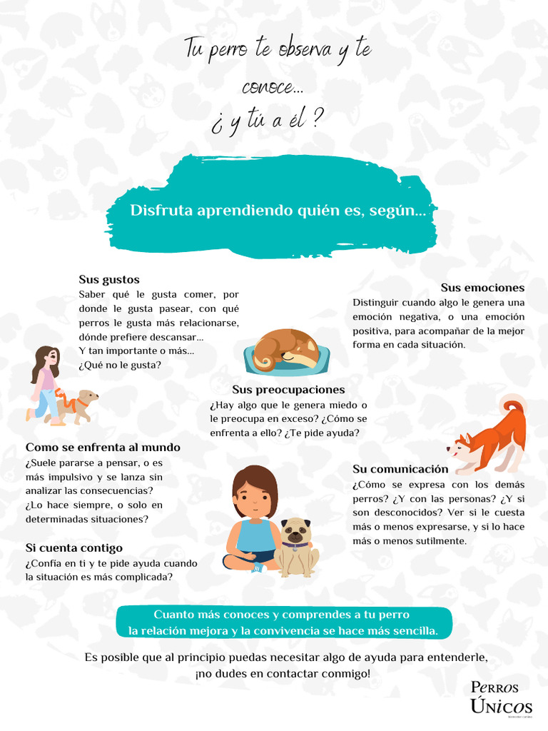 Tu Perro Te Observa y Te Conoce, y Tú A Él | PDF