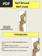 Anatomie et clinique du triangle de Scarpa | PDF | Anatomie de membre ...