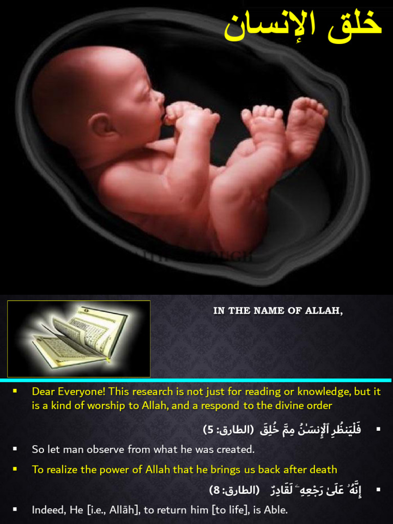 Stages of Human Creation in the Quran | PDF | God In Islam