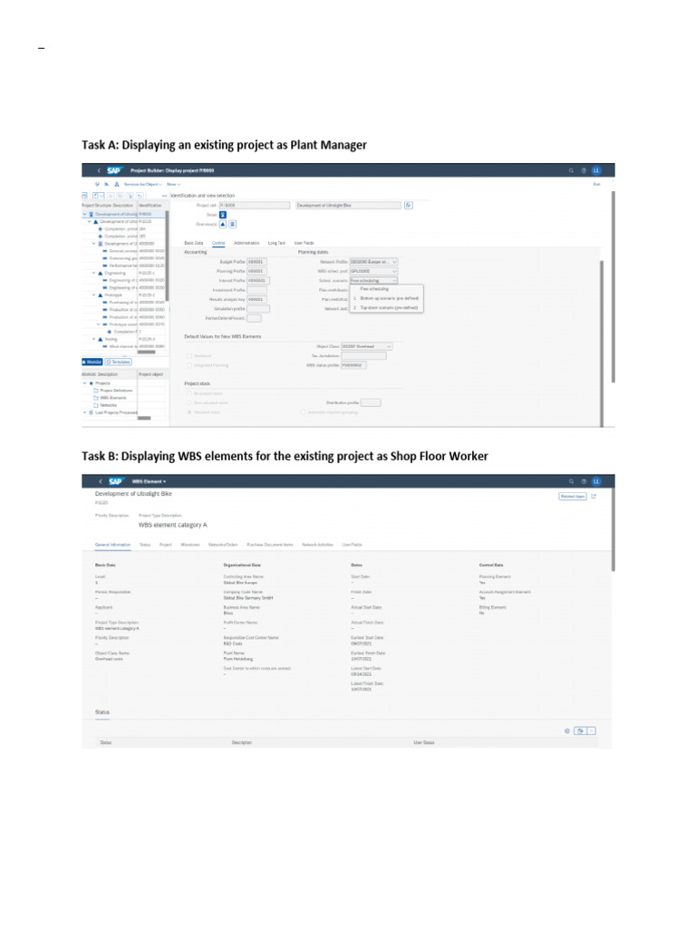 Project Management Roles in SAP | PDF