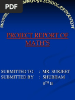 Project Report of Math's